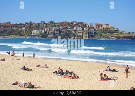 Bondi Beach, vicino a Sydney, paradiso dei surfisti, Australia Meridionale, Australia Foto Stock