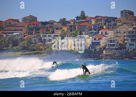 Surfista a Bondi Beach, vicino a Sydney, paradiso surfista, Australia Meridionale, Australia Foto Stock