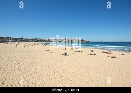 Bondi Beach, vicino a Sydney, paradiso dei surfisti, Australia Meridionale, Australia Foto Stock