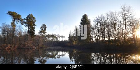 Etang de Lamoulasse en hiver (Sud-ouest Francia) Foto Stock