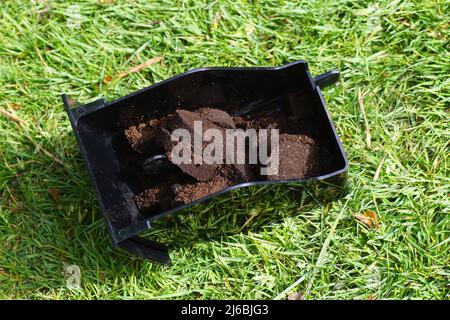 Primo piano caffè macinato usato dopo la macchina espresso. Tavolette di caffè macinato in un cestino nero. Sul prato a gettare nel giardino. Foto Stock