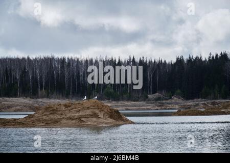 Cave di sabbia e un serbatoio in Russia, regione di Mosca. Laghi e stagni artificiali. I gabbiani sono seduti su una piccola isola nel mezzo o Foto Stock