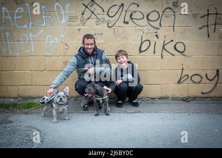 Uomo con suo figlio che posa con due bulldog francesi di fronte al muro in tenuta, Inghilterra . Foto Stock