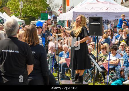 Downton, Salisbury, Wiltshire, Regno Unito, 30th aprile 2022. Downton Cuckoo Fair è tornato in un caldo sole primaverile glorioso dopo una pausa per la pandemia di Covid. L'evento popolare, con bancarelle di mercato e atti di strada, attrae una folla di migliaia di persone. I membri del coro Rock cantano il loro cuore. Credit: Paul Biggins/Alamy Live News Foto Stock