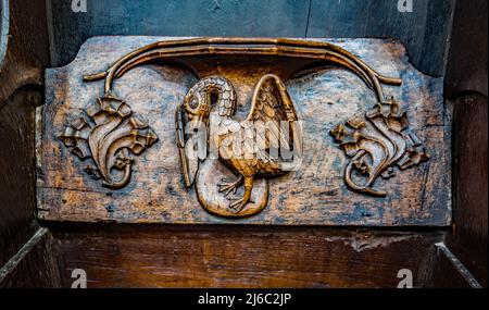 I Misericords sono piccole strutture di legno formate sul lato inferiore di una sede pieghevole in una chiesa. Qui visto nella chiesa parrocchiale di St Laurence a Ludlow. Foto Stock