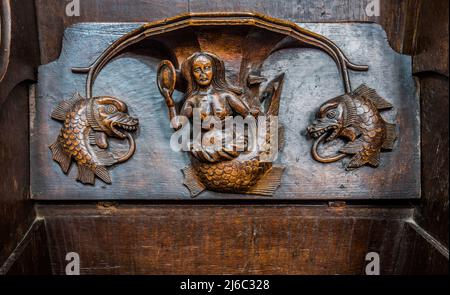 I Misericords sono piccole strutture di legno formate sul lato inferiore di una sede pieghevole in una chiesa. Qui visto nella chiesa parrocchiale di St Laurence a Ludlow. Foto Stock