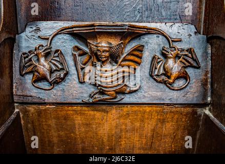 I Misericords sono piccole strutture di legno formate sul lato inferiore di una sede pieghevole in una chiesa. Qui visto nella chiesa parrocchiale di St Laurence a Ludlow. Foto Stock