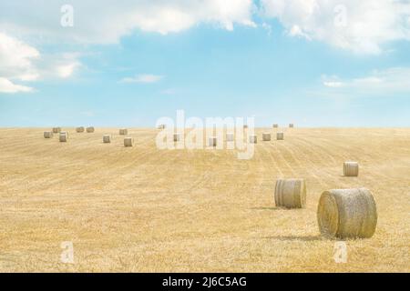 Campo di fieno con balle sotto cielo azzurro con nuvole, paesaggio minimalista con spazio copia Foto Stock