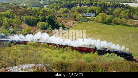 TRENO A VAPORE JACOBITE E PULLMAN CHE ATTRAVERSANO I BOSCHI DI MORAR IN PRIMAVERA EN ROTTA VERSO MALLAIG SCOZIA Foto Stock