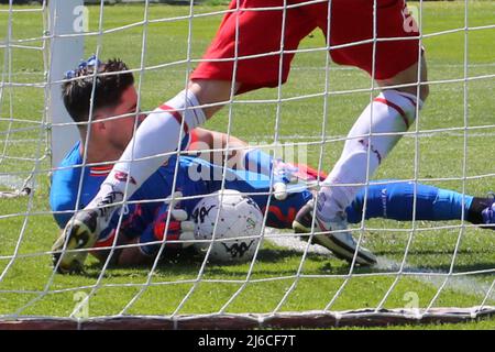 Il gol di DONNARUMMA Alfredo (Ternana)in Foto il portiere Chichicola Leandro (Perugia) durante Ternana Calcio vs AC Perugia, partita di calcio italiana Serie B a Terni, Italia, Aprile 30 2022 Foto Stock