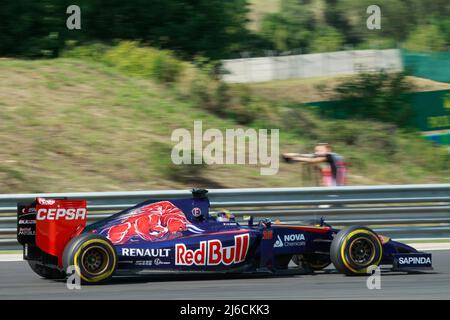 Formula 1 Gran Premio d'Ungheria 2014. Nella figura: Foto Stock