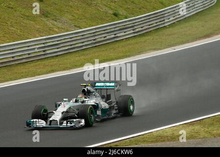 Formula 1 Gran Premio d'Ungheria 2014. Nella figura: Foto Stock