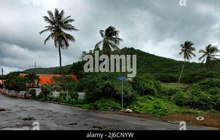Alcune case vicino alla strada per Westpunt (in olandese: weg naar Westpunt), palme e il monte Christoffel in lontananza Foto Stock