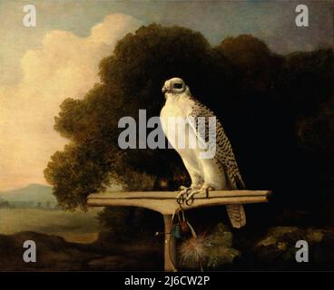 Groenlandia Falcon. George Stubbs. 1780. Foto Stock