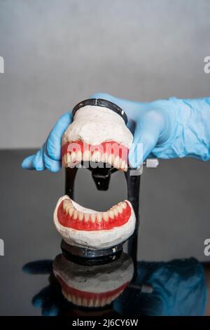 Protesi dentaria nelle mani del medico primo piano. Dentista che tiene ponte dentistico in ceramica. Vista frontale della dentiera completa. Odontoiatria concettuale pho Foto Stock
