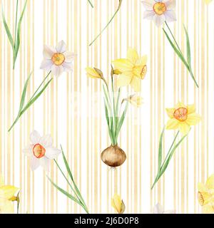 Acquerello modello senza cuciture di narcisi gialli e bianchi. Illustrazione dipinta a mano con fiori di primavera isolati su sfondo bianco per il tessuto Foto Stock