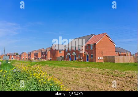 Case popolari di nuova costruzione di Longhurst con un campo in primo piano Foto Stock