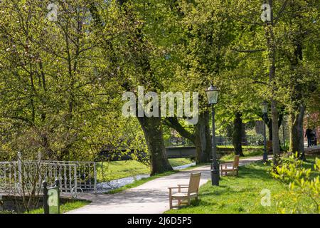 Primavera nei giardini termali di Baden Baden. Baden Wuerttemberg, Germania, Europa Foto Stock
