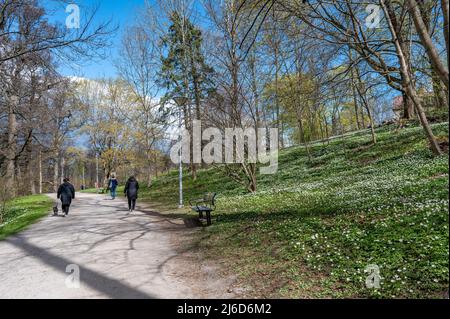 Le persone irriconoscibili godono di un'atmosfera primaverile nel parco cittadino di Åbackarna lungo il fiume Motala a Norrkoping, una storica città industriale svedese Foto Stock