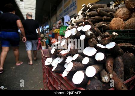 salvador, bahia, brasile - 30 aprile 2022: Aipim - manioca o manioca per la vendita al Sao Joaquim fiera nella città di Salvador. Foto Stock