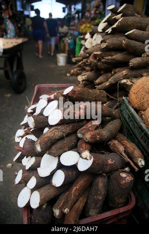 salvador, bahia, brasile - 30 aprile 2022: Aipim - manioca o manioca per la vendita al Sao Joaquim fiera nella città di Salvador. Foto Stock