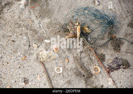 Spazzatura scaricata sulla spiaggia, spazzatura marina Foto Stock