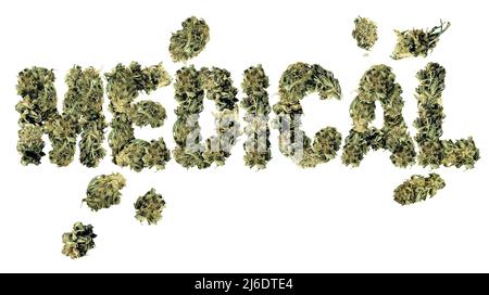 Cannabis medico e farmaci per la salute umana come marijuana psicoattiva e concetto di assistenza sanitaria con erbe medicinali legali per la terapia alternativa. Foto Stock