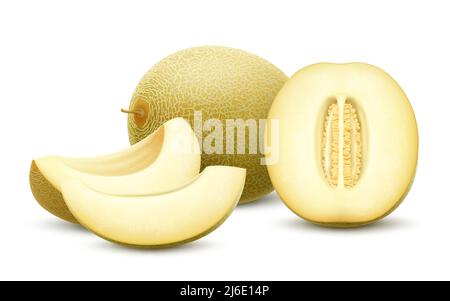 Set di melone fresco intero, metà, tagliato a fette isolato su sfondo bianco. Melone di nido d'ape. Frutta estiva per uno stile di vita sano. Frutta biologica. Reale Illustrazione Vettoriale