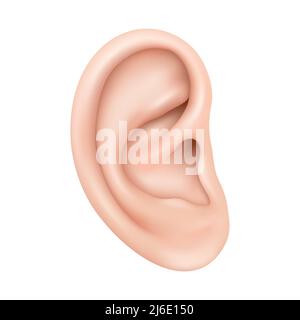 Orecchio umano realistico isolato su sfondo bianco. Orecchio umano organo udito cura della salute closeup 3D realistico isolato icona disegno vettore illustrazione Illustrazione Vettoriale