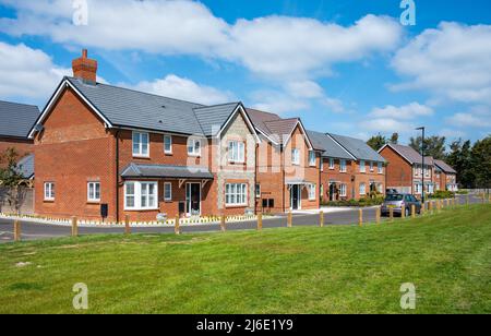 Nuovissimo 2020s mattoni rossi semi staccati moderne case a 2 piani costruito in una nuova tenuta di alloggi a Angmering, Sussex occidentale, Inghilterra UK. Foto Stock