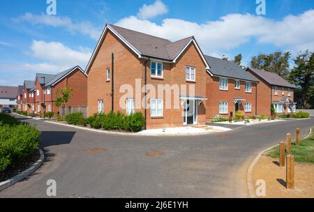 Nuovissimo 2020s mattoni rossi semi staccati moderne case a 2 piani costruito in una nuova tenuta di alloggi a Angmering, Sussex occidentale, Inghilterra UK. Foto Stock