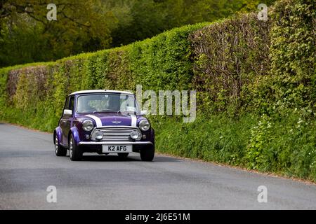 Mini viola. Partecipare alle classiche auto primaverili Rotary Club beneficenza 'Wye Run' attraverso il Galles e la Wye Valley. Foto Stock