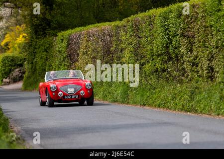 Red Austin Healey 100. Partecipare alle classiche auto primaverili Rotary Club beneficenza 'Wye Run' attraverso il Galles e la Wye Valley. Foto Stock