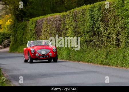 Red Austin Healey 100. Partecipare alle classiche auto primaverili Rotary Club beneficenza 'Wye Run' attraverso il Galles e la Wye Valley. Foto Stock