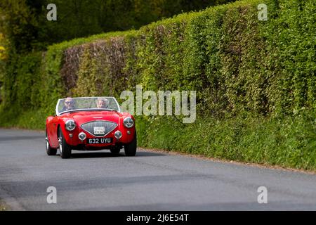 Red Austin Healey 100. Partecipare alle classiche auto primaverili Rotary Club beneficenza 'Wye Run' attraverso il Galles e la Wye Valley. Foto Stock