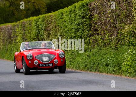 Red Austin Healey 100. Partecipare alle classiche auto primaverili Rotary Club beneficenza 'Wye Run' attraverso il Galles e la Wye Valley. Foto Stock