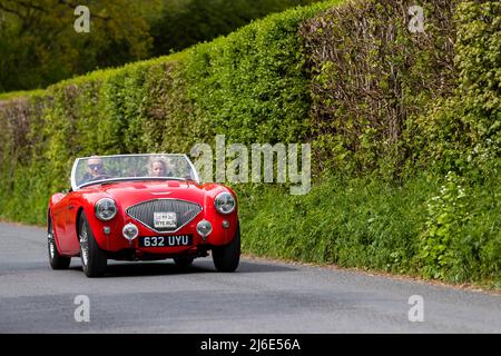 Red Austin Healey 100. Partecipare alle classiche auto primaverili Rotary Club beneficenza 'Wye Run' attraverso il Galles e la Wye Valley. Foto Stock