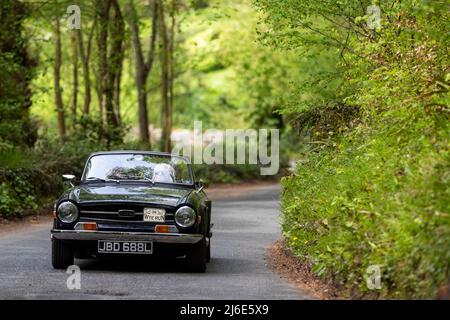 Triumph TR6 partecipa alle classiche auto primaverili Rotary Club beneficenza 'Wye Run' attraverso il Galles e la Wye Valley. Foto Stock