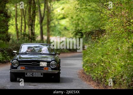 Triumph TR6 partecipa alle classiche auto primaverili Rotary Club beneficenza 'Wye Run' attraverso il Galles e la Wye Valley. Foto Stock