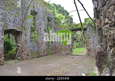 rovina medievale, forte vasai, maharashtra, india Foto Stock