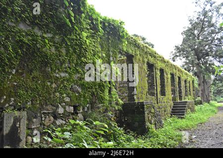 rovina medievale, forte vasai, maharashtra, india Foto Stock