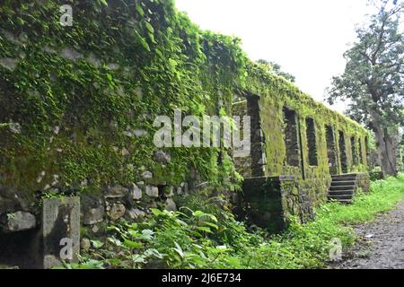 rovina medievale, forte vasai, maharashtra, india Foto Stock