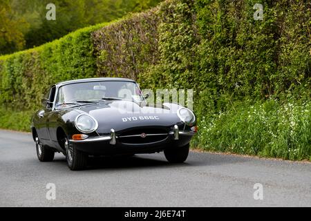Serie 1 e Type Jaguar partecipa alle classiche auto primaverili Rotary Club Charity 'Wye Run' attraverso il Galles e la Wye Valley. Foto Stock