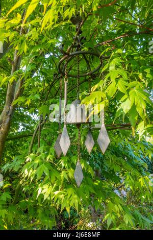 Un ornamento da giardino di jingle del vento appeso ad un albero giapponese dell'acero in un giardino Foto Stock