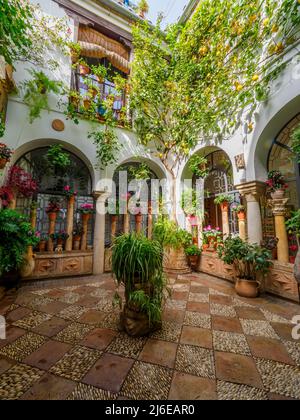 Tradizionale cortile andaluso pieno di piante e fiori nella città vecchia - Cordoba, Spagna Foto Stock