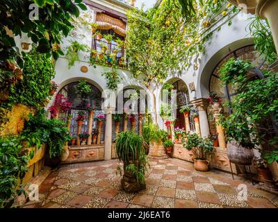 Tradizionale cortile andaluso pieno di piante e fiori nella città vecchia - Cordoba, Spagna Foto Stock