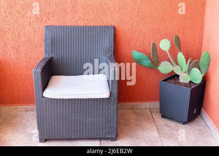 Seduta rilassante con cuscino sulla terrazza e cactus in vaso Foto Stock