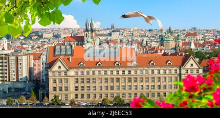 Vista sui tetti rossi e la Torre di Polvere e a Praga Foto Stock