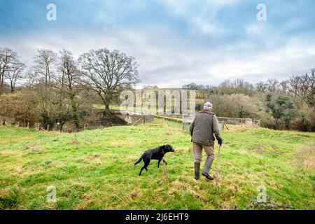 Un camminatore del cane sulla banca del vecchio canale di carbone del Somerset dove un acquedotto si dirama vicino a Midford, Bath, Regno Unito Foto Stock