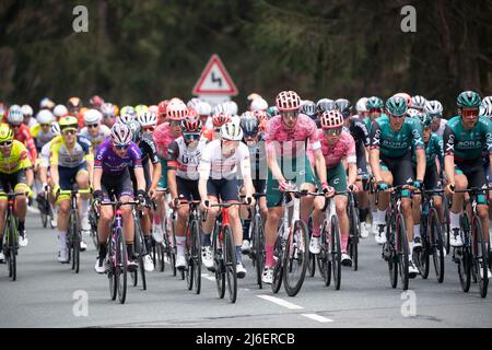 01 maggio 2022, Hessen, Schmitten: Ciclismo: UCI WorldTour - Eschborn - Francoforte (185 km) a Feldberg. I cavalieri si arrampicano sul Feldberg. Foto: Sebastian Gollnow/dpa Foto Stock